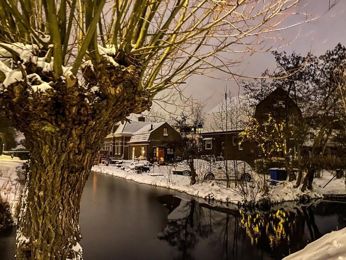 Guesthouse Rotterdam, Tinyhouse Nearby Kralingen מראה חיצוני תמונה